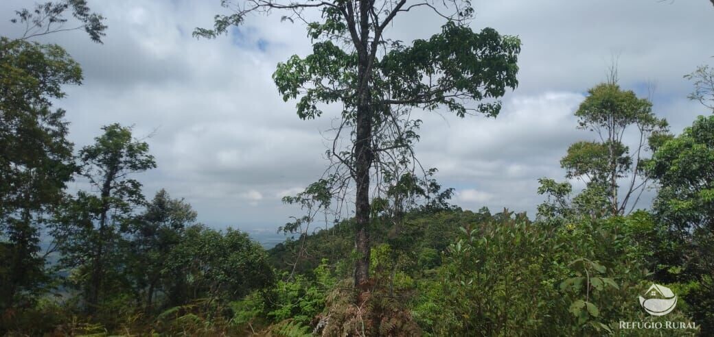 Terreno à venda, 20000m² - Foto 11