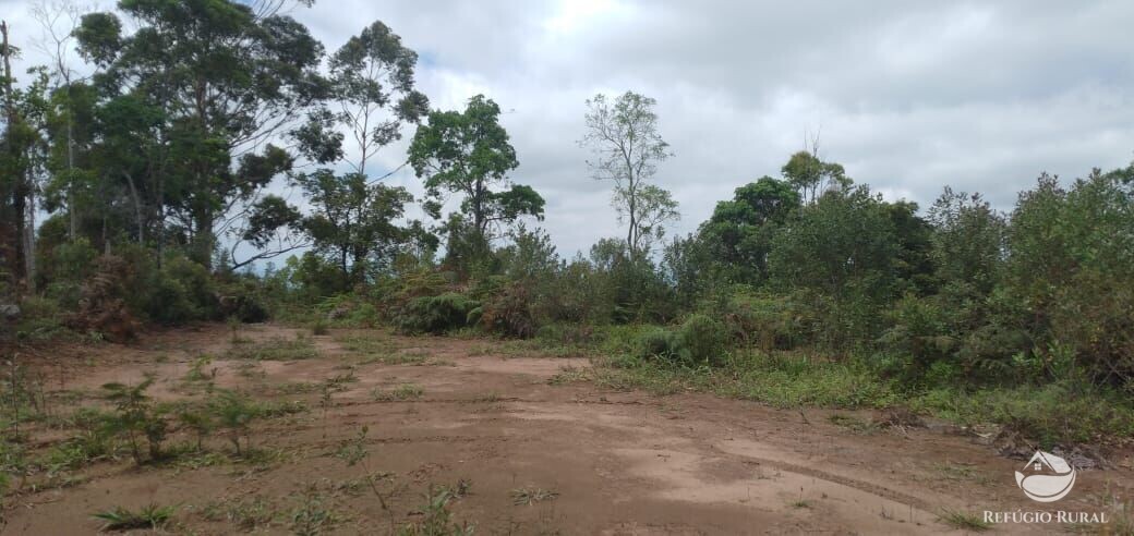 Terreno à venda, 20000m² - Foto 1