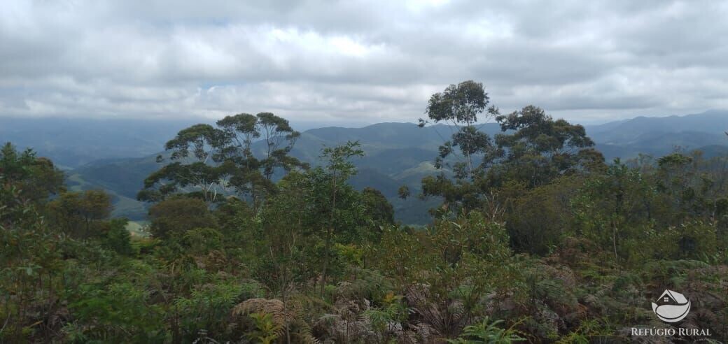 Terreno à venda, 20000m² - Foto 10