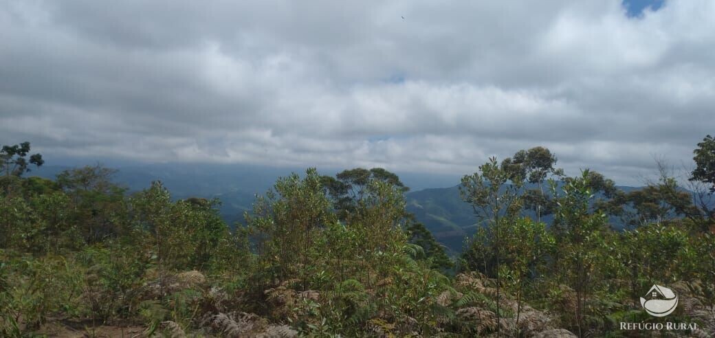 Terreno à venda, 20000m² - Foto 13