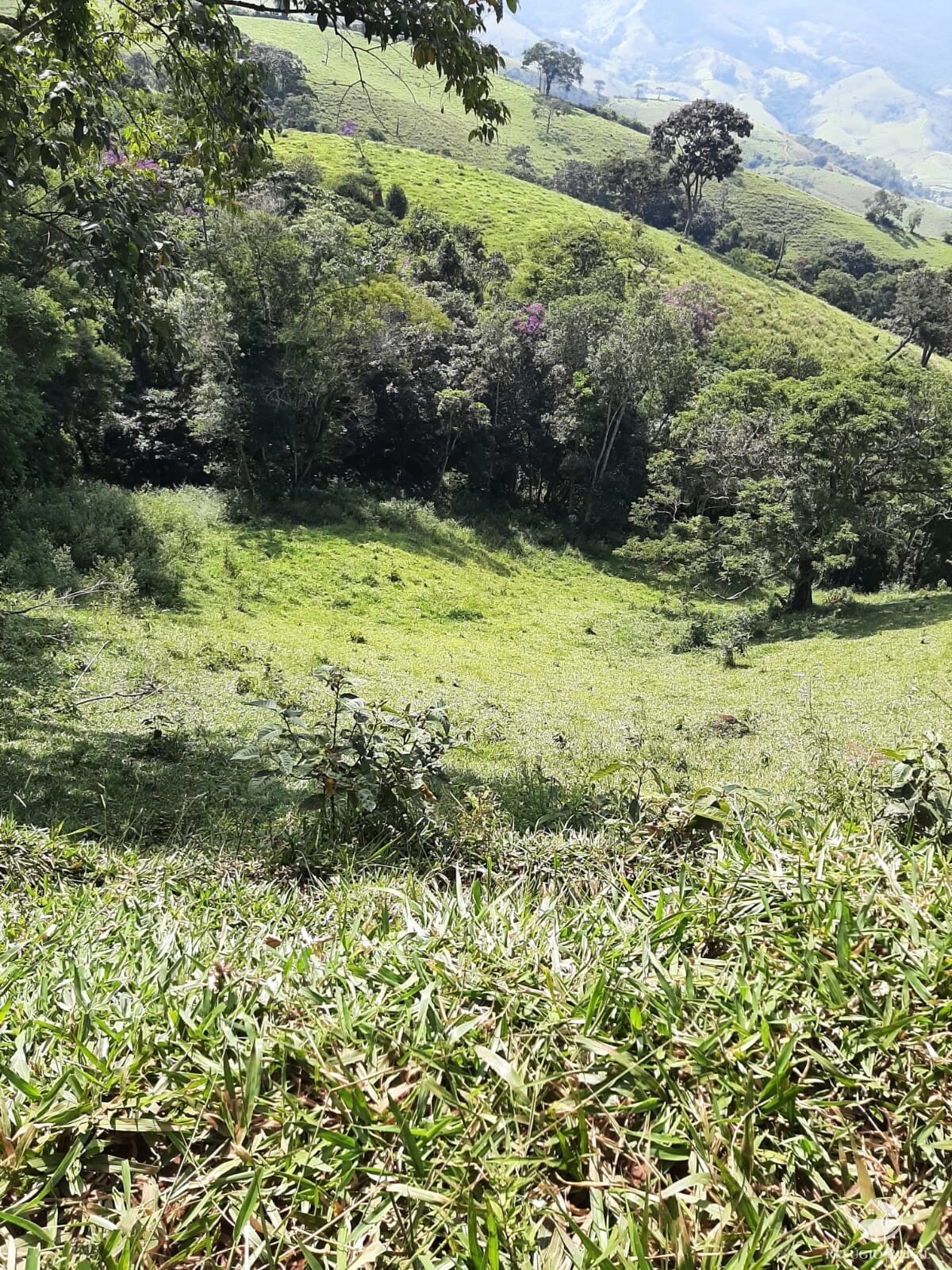 Fazenda à venda com 1 quarto, 670000m² - Foto 8