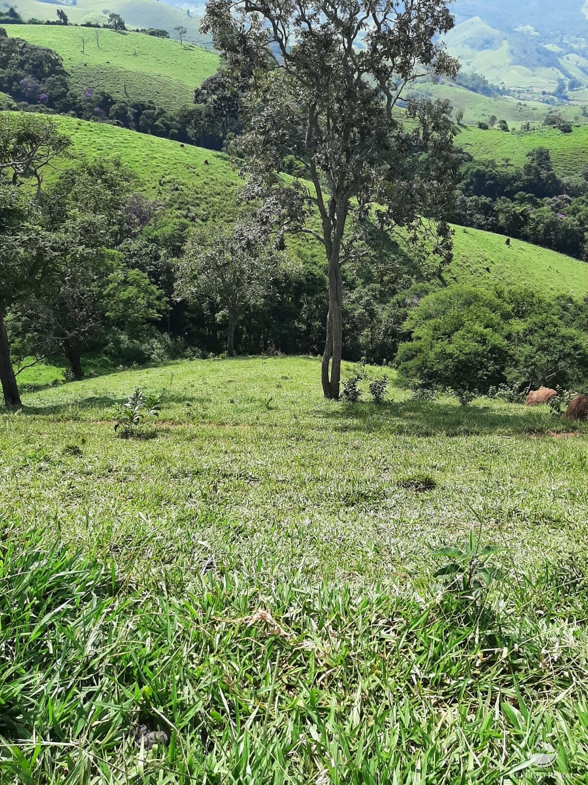 Fazenda à venda com 1 quarto, 670000m² - Foto 7