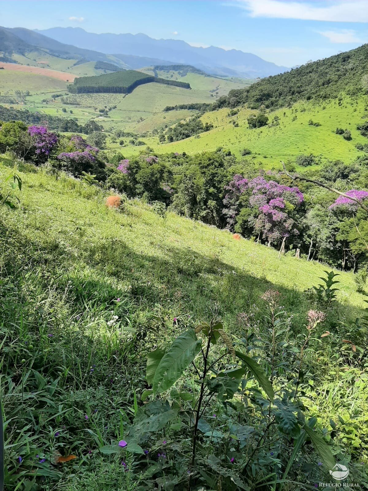 Fazenda à venda com 1 quarto, 670000m² - Foto 4