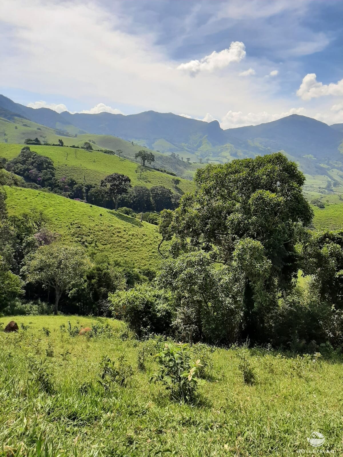 Fazenda à venda com 1 quarto, 670000m² - Foto 11