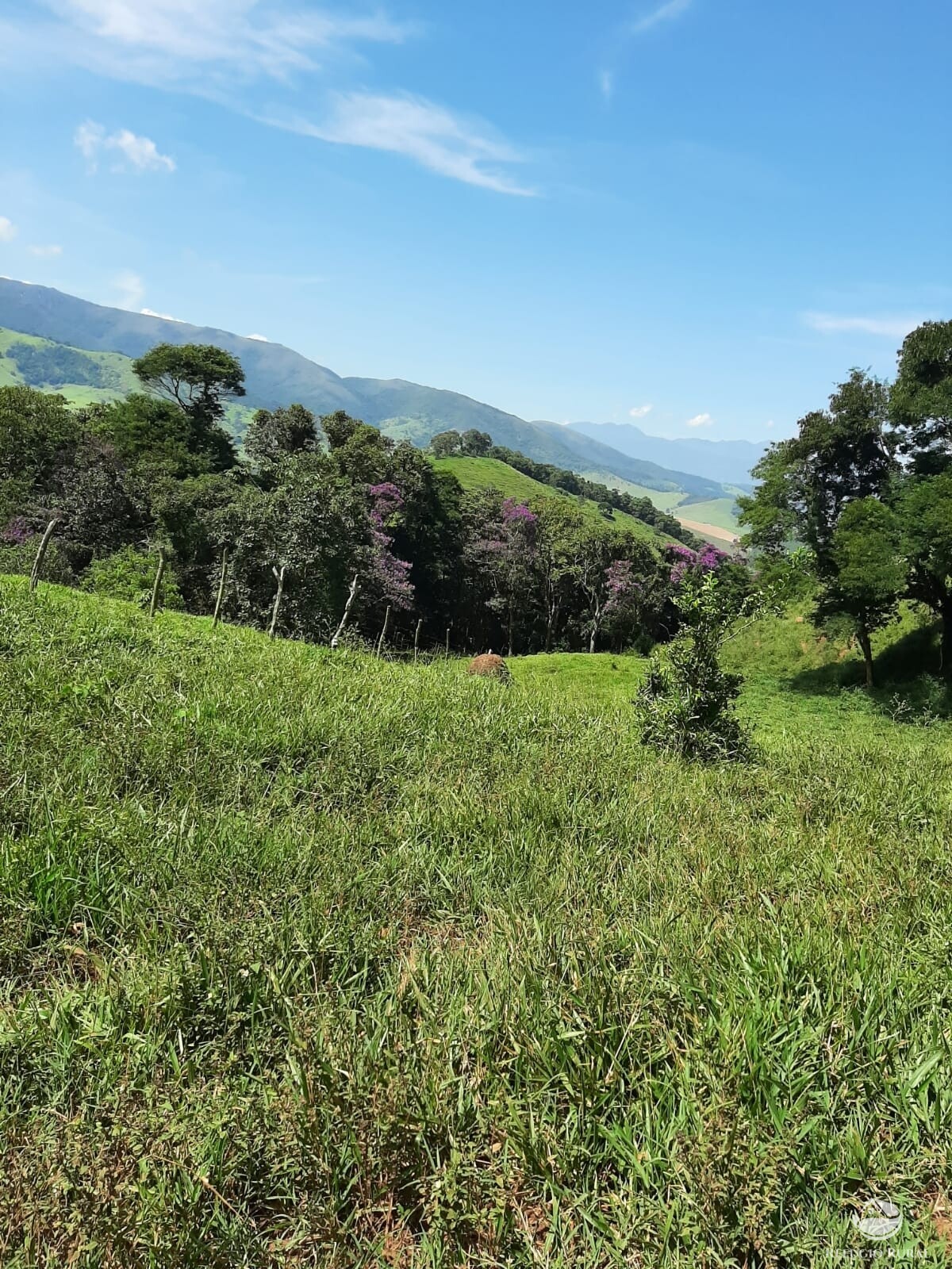 Fazenda à venda com 1 quarto, 670000m² - Foto 2