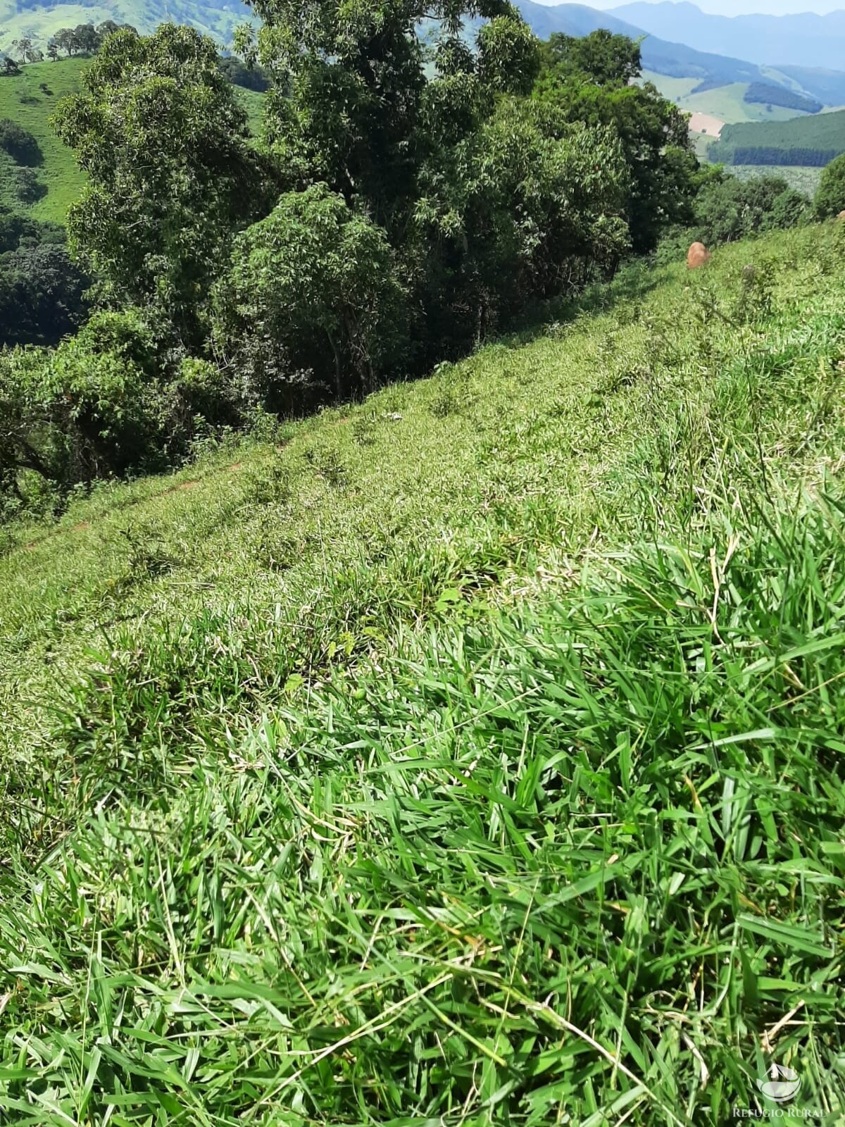 Fazenda à venda com 1 quarto, 670000m² - Foto 5