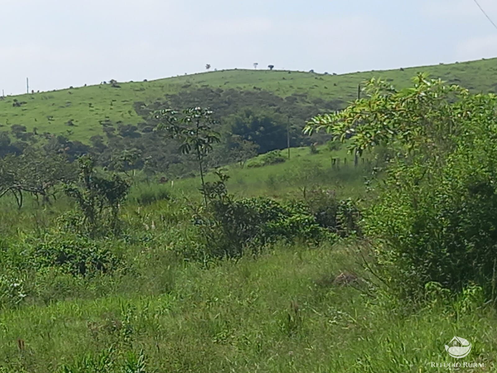 Fazenda à venda com 1 quarto, 2710400m² - Foto 8