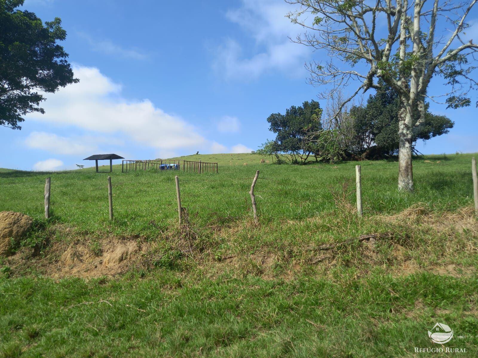 Fazenda à venda com 1 quarto, 2710400m² - Foto 1