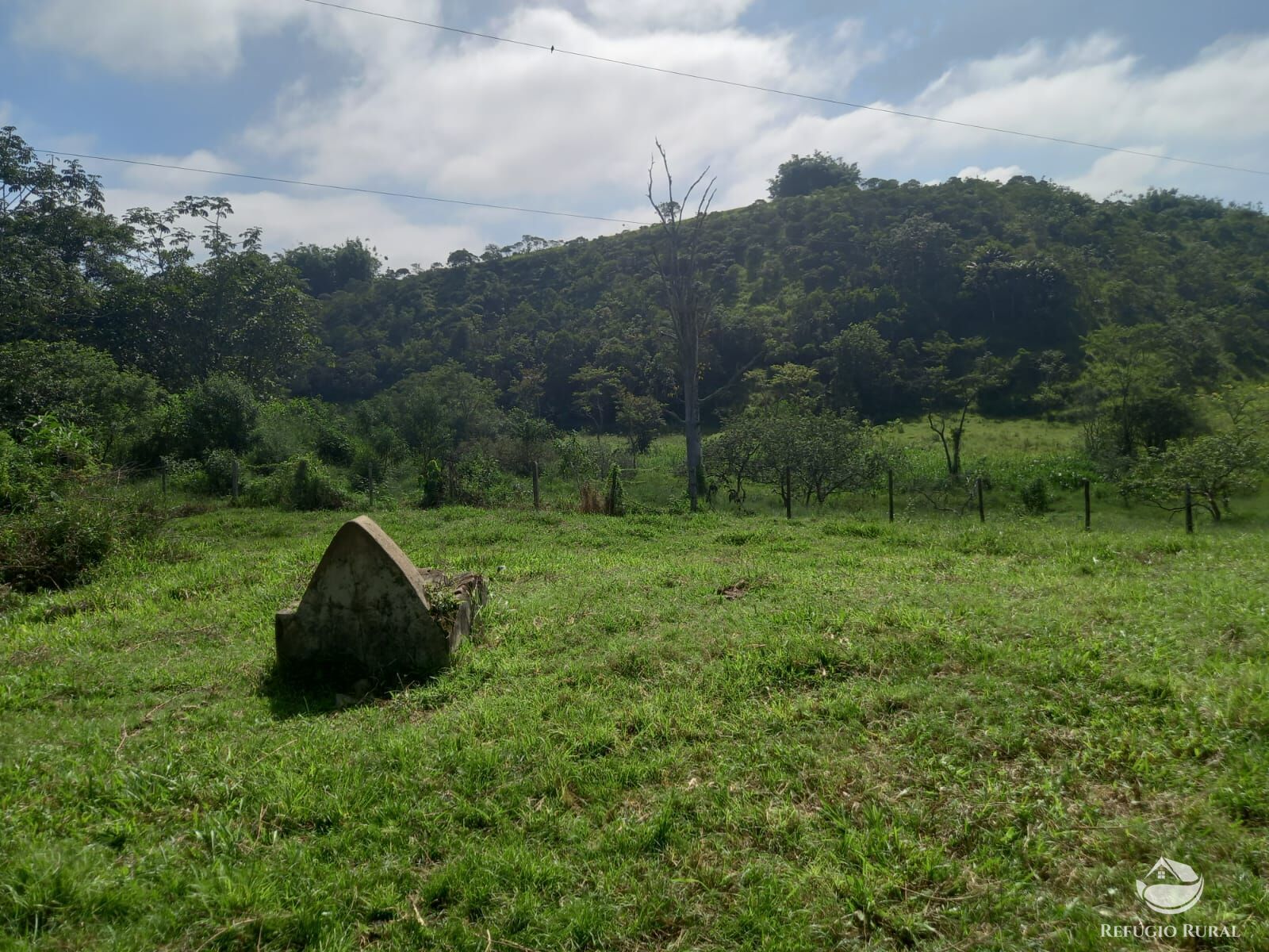 Fazenda à venda com 1 quarto, 2710400m² - Foto 3