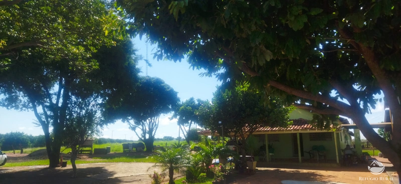 Fazenda à venda com 3 quartos, 31000m² - Foto 4