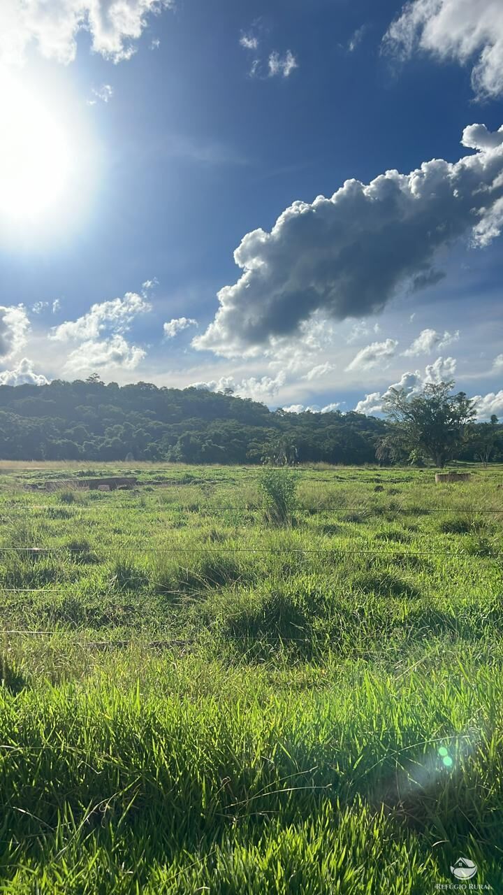 Fazenda à venda com 2 quartos, 4840000m² - Foto 12