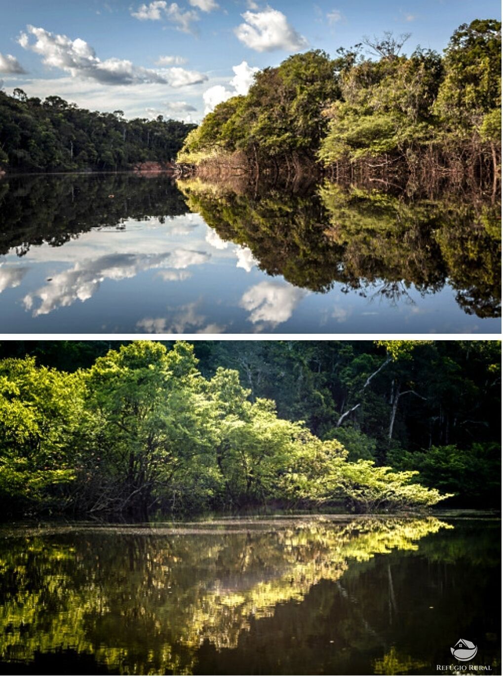 Fazenda à venda com 1 quarto, 365827100m² - Foto 5