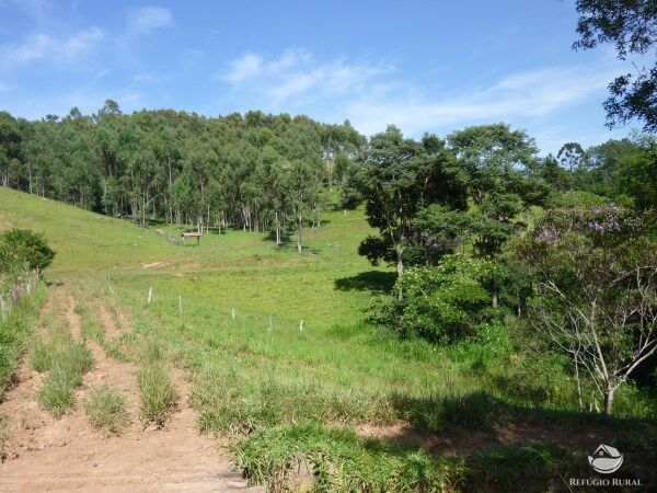 Sítio, 48 hectares - Foto 18