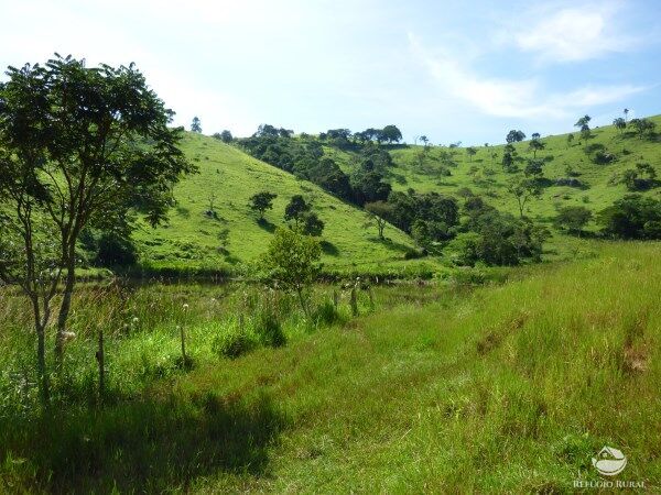 Sítio, 48 hectares - Foto 4