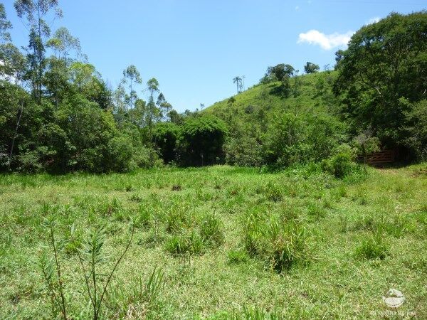 Sítio, 48 hectares - Foto 13