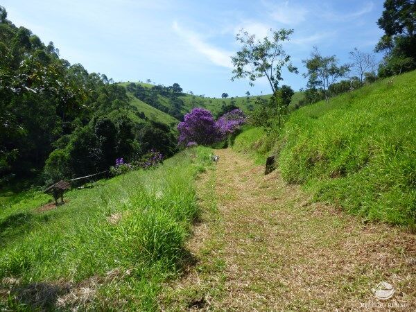 Sítio, 48 hectares - Foto 27