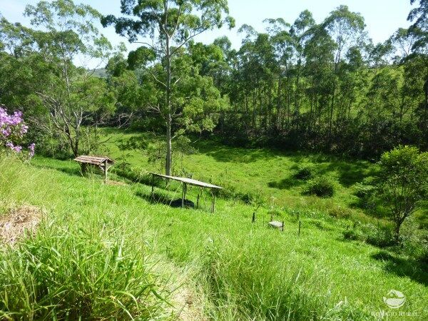 Sítio, 48 hectares - Foto 25