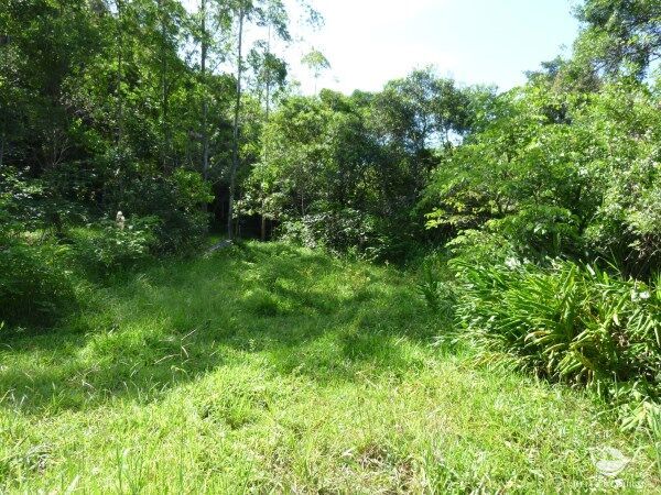 Sítio, 48 hectares - Foto 12