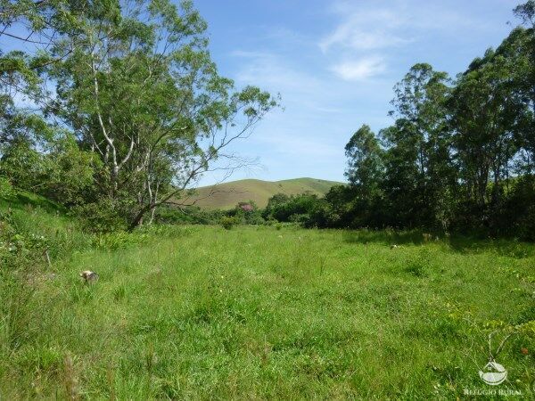 Sítio, 48 hectares - Foto 11