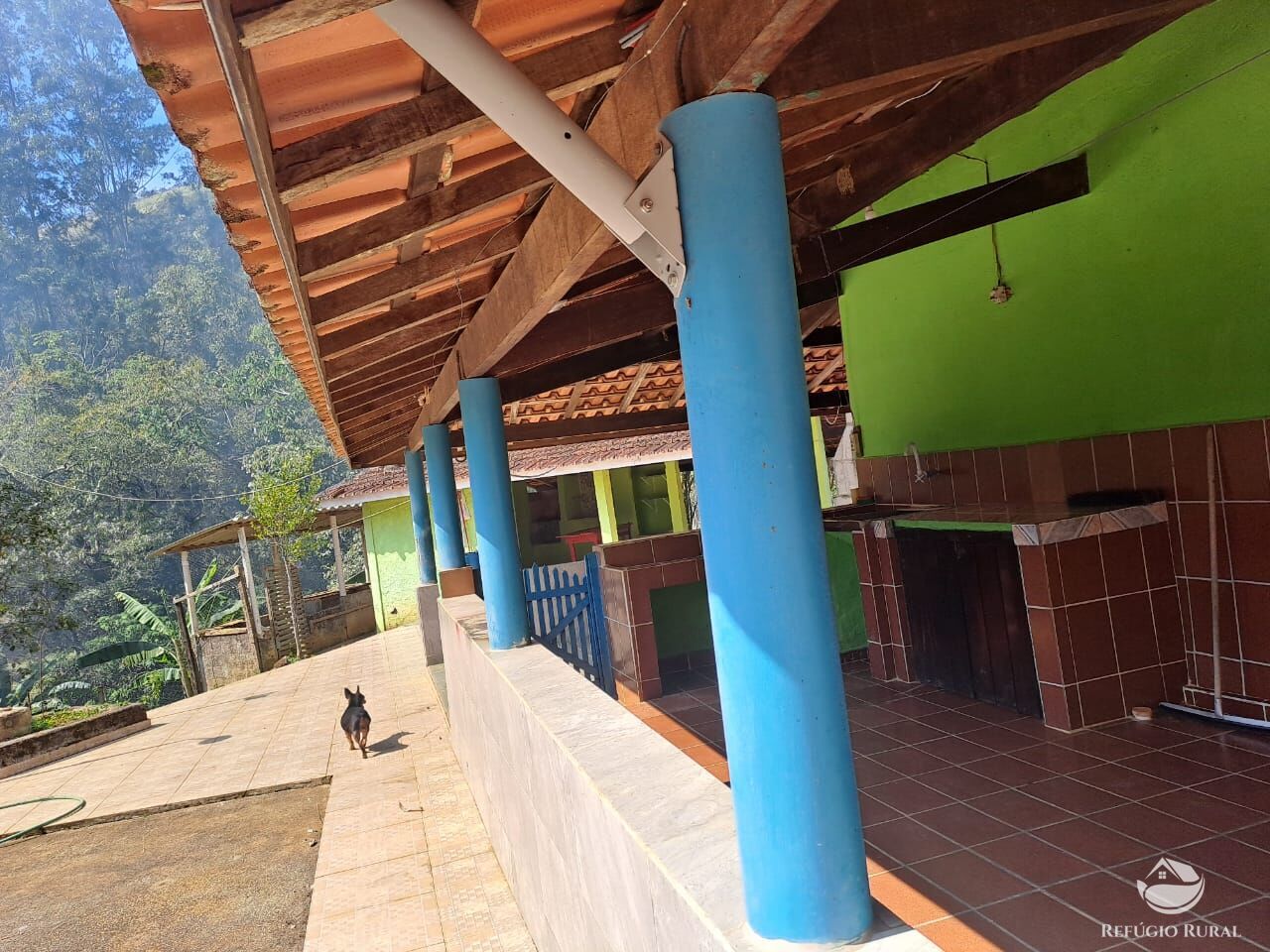 Chácara à venda com 3 quartos, 9000m² - Foto 14