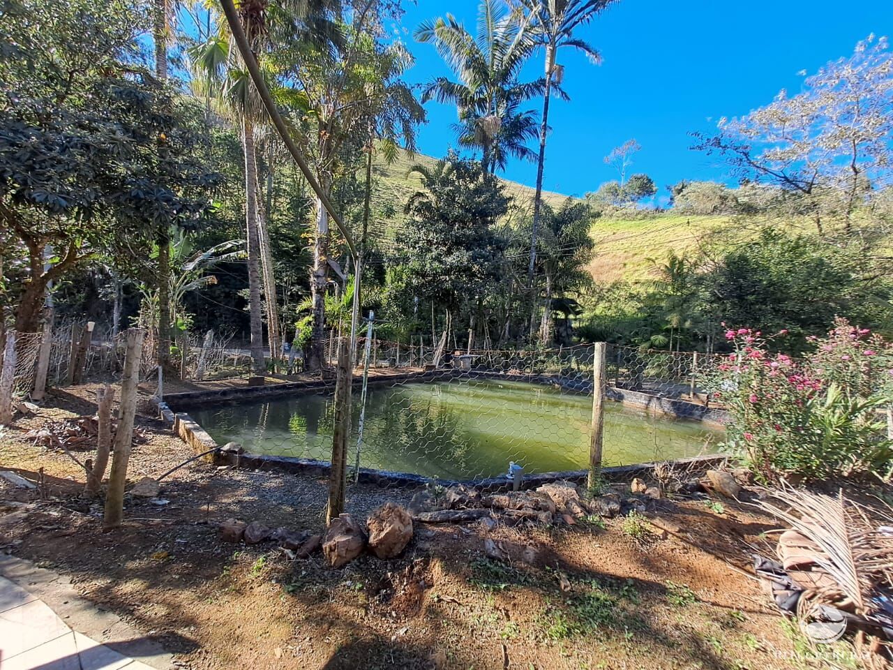Chácara à venda com 3 quartos, 9000m² - Foto 10