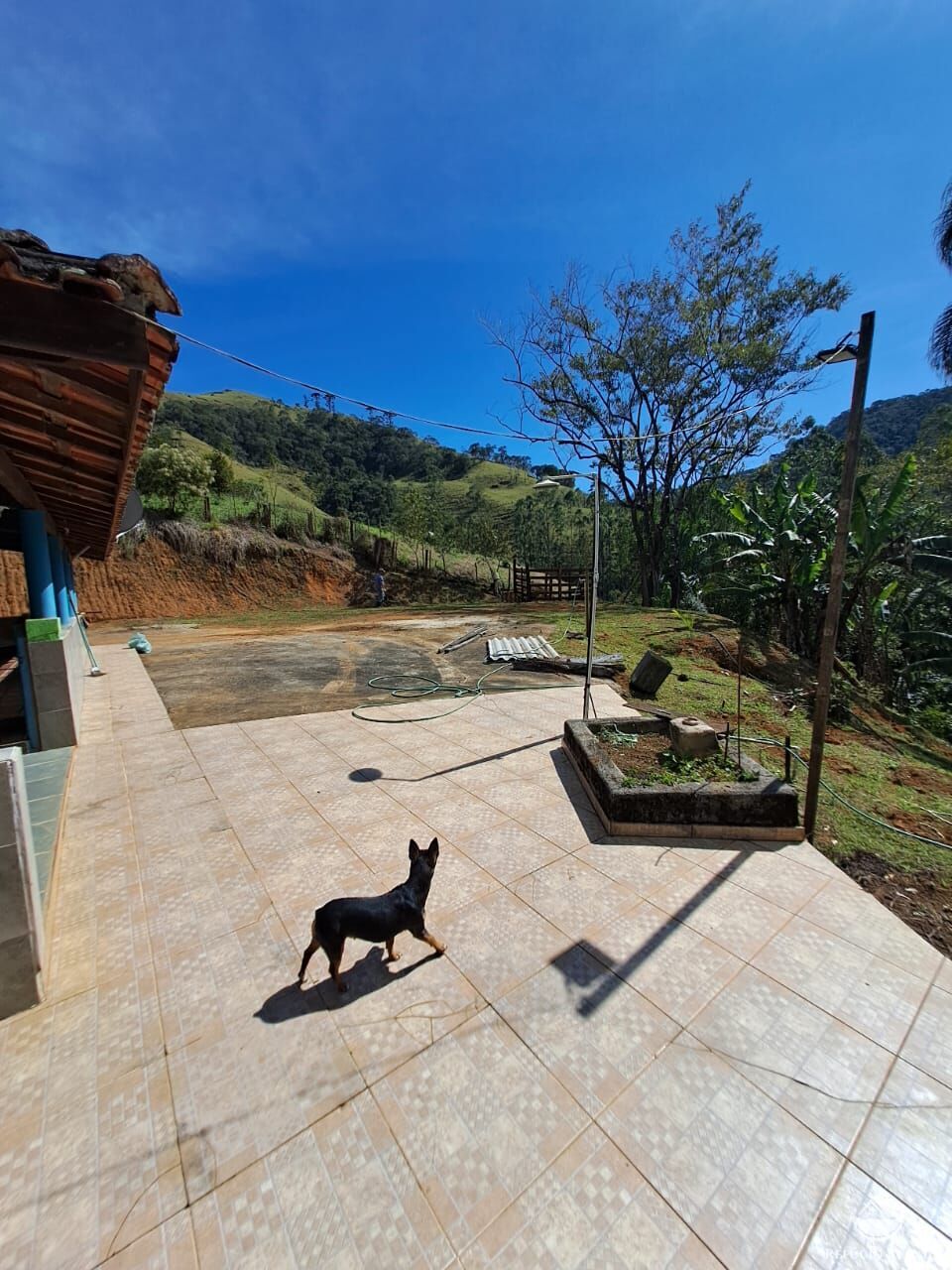 Chácara à venda com 3 quartos, 9000m² - Foto 17