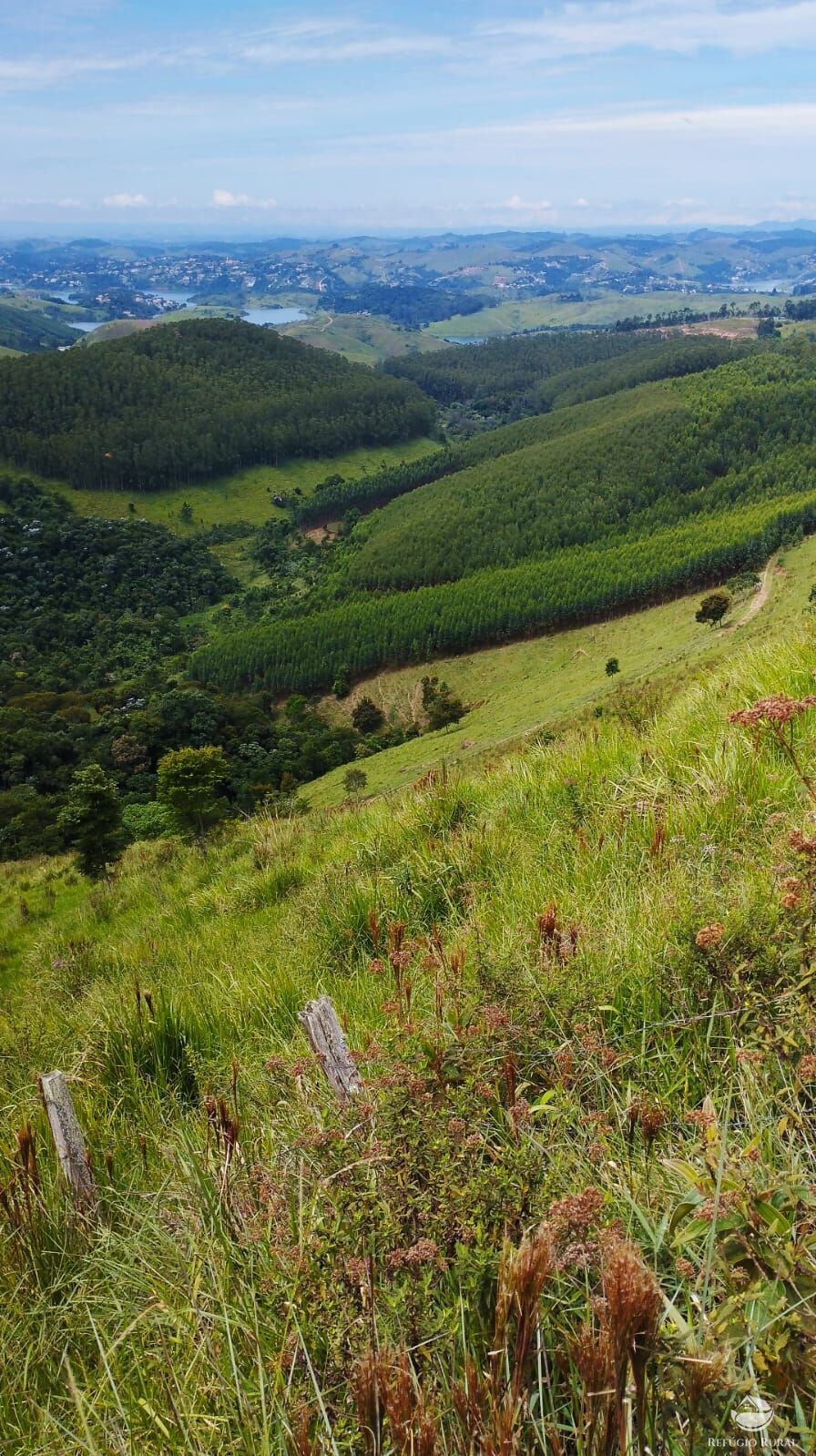 Fazenda à venda com 1 quarto, 580800m² - Foto 12