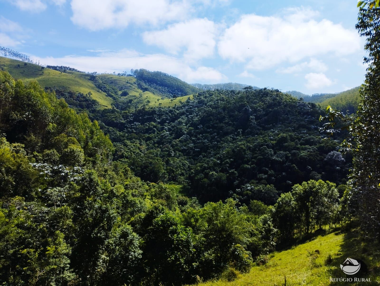 Fazenda à venda com 1 quarto, 580800m² - Foto 8