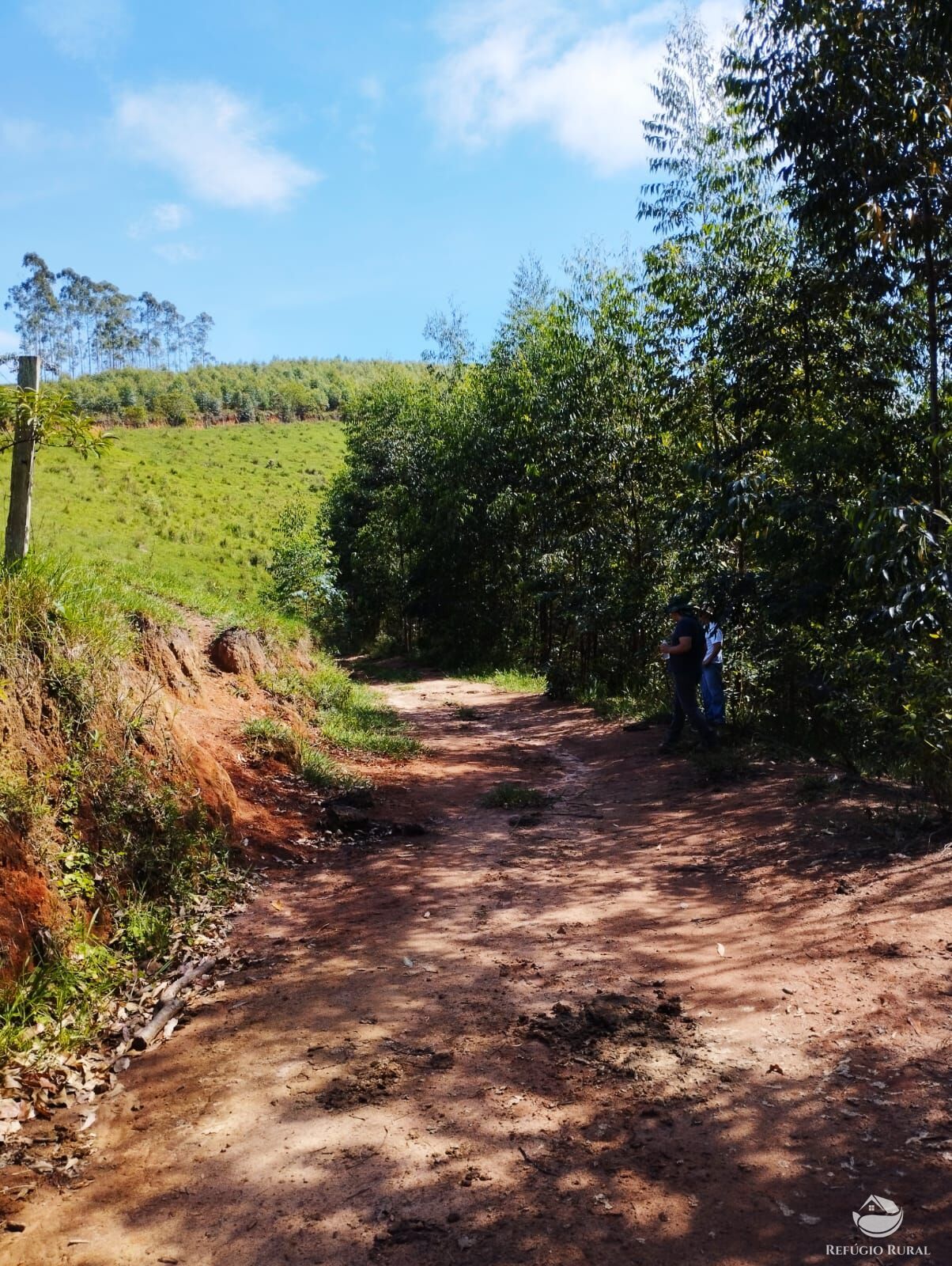 Fazenda à venda com 1 quarto, 580800m² - Foto 10