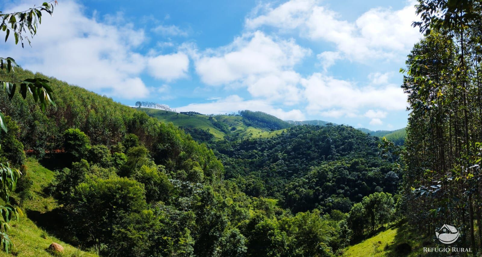 Fazenda à venda com 1 quarto, 580800m² - Foto 6