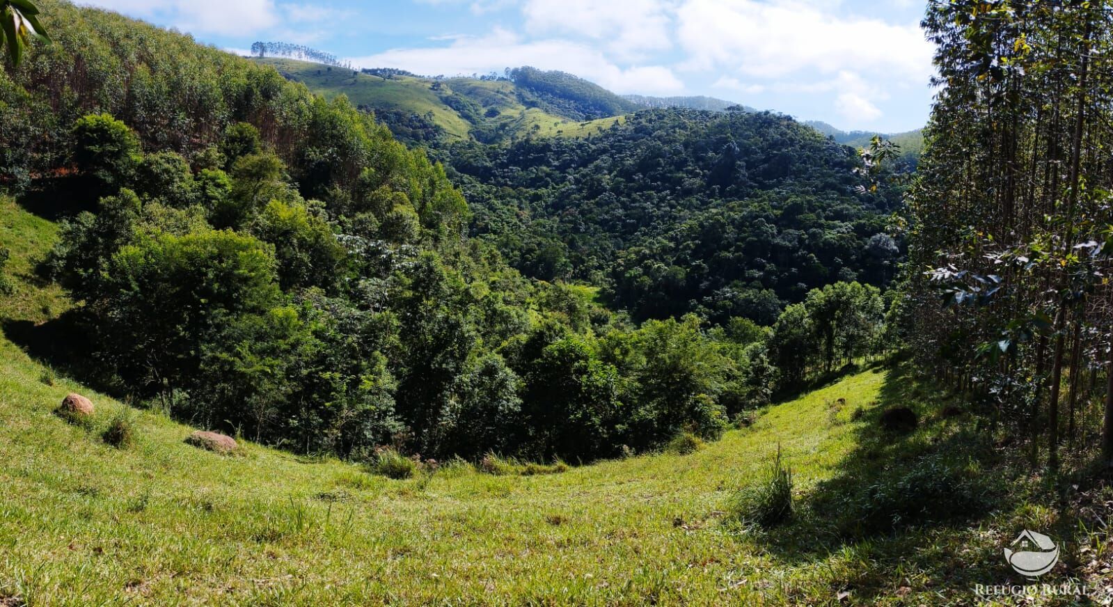 Fazenda à venda com 1 quarto, 580800m² - Foto 5