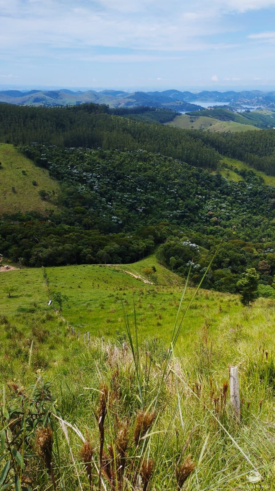 Fazenda à venda com 1 quarto, 580800m² - Foto 14