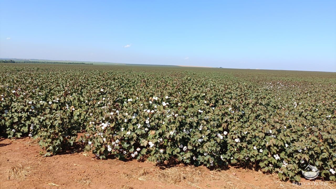 Fazenda à venda com 1 quarto, 6000000m² - Foto 1