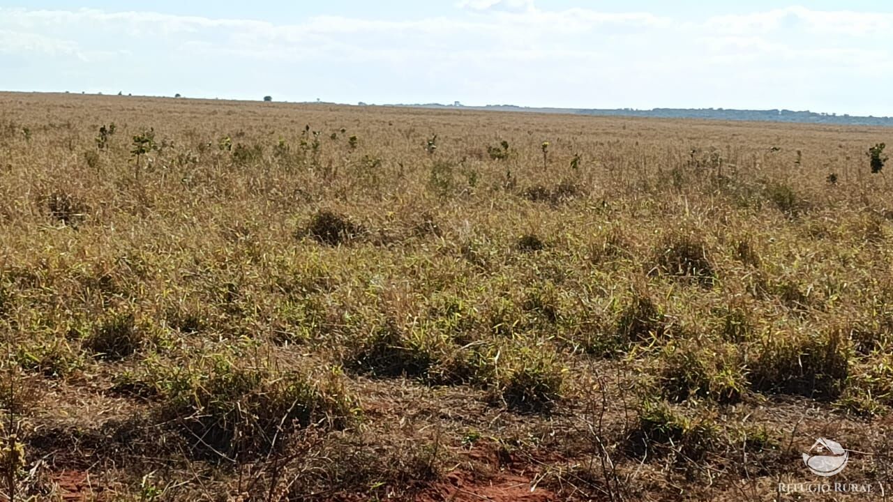 Fazenda à venda com 1 quarto, 6000000m² - Foto 3