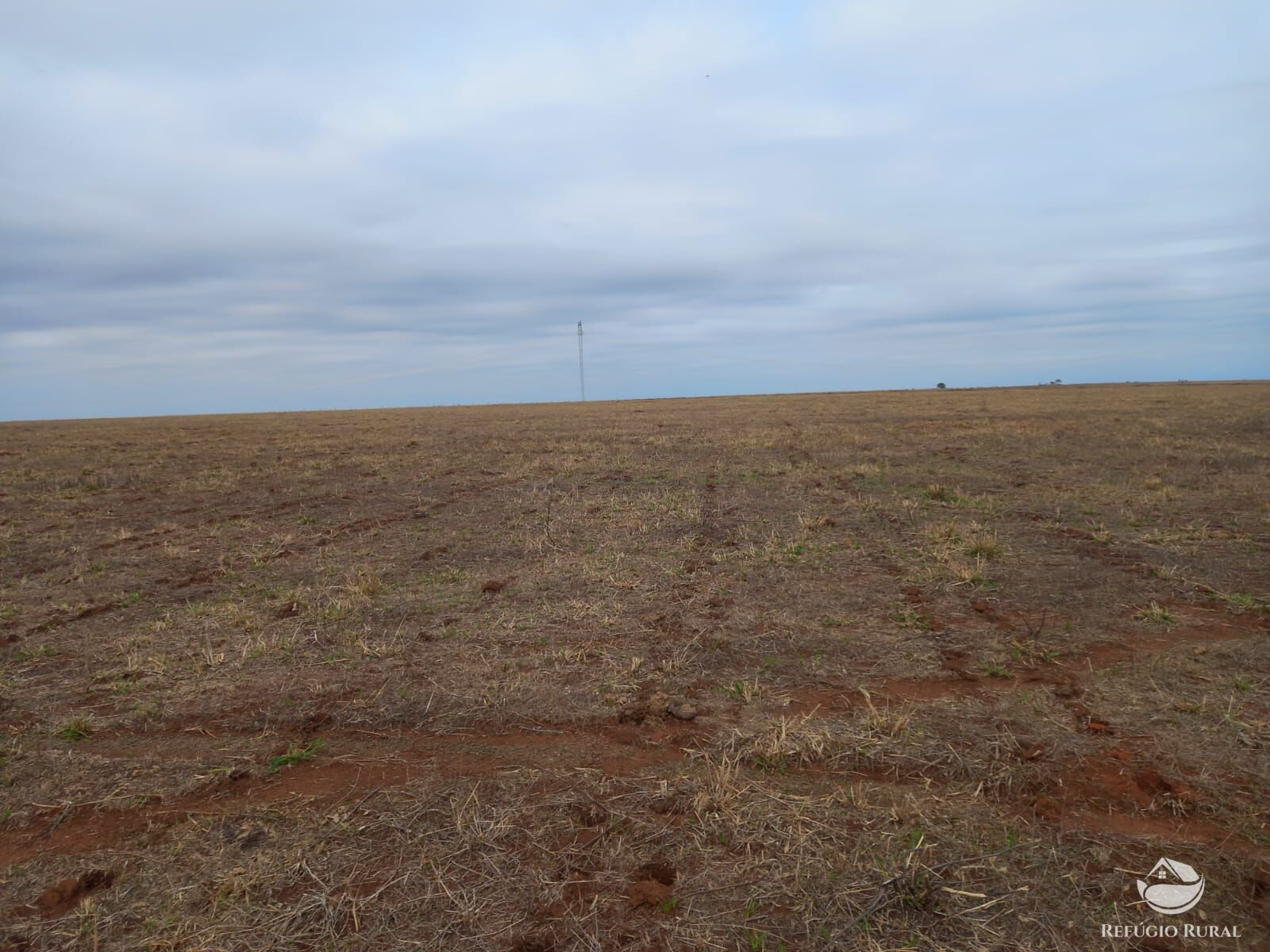 Fazenda à venda com 1 quarto, 6000000m² - Foto 6