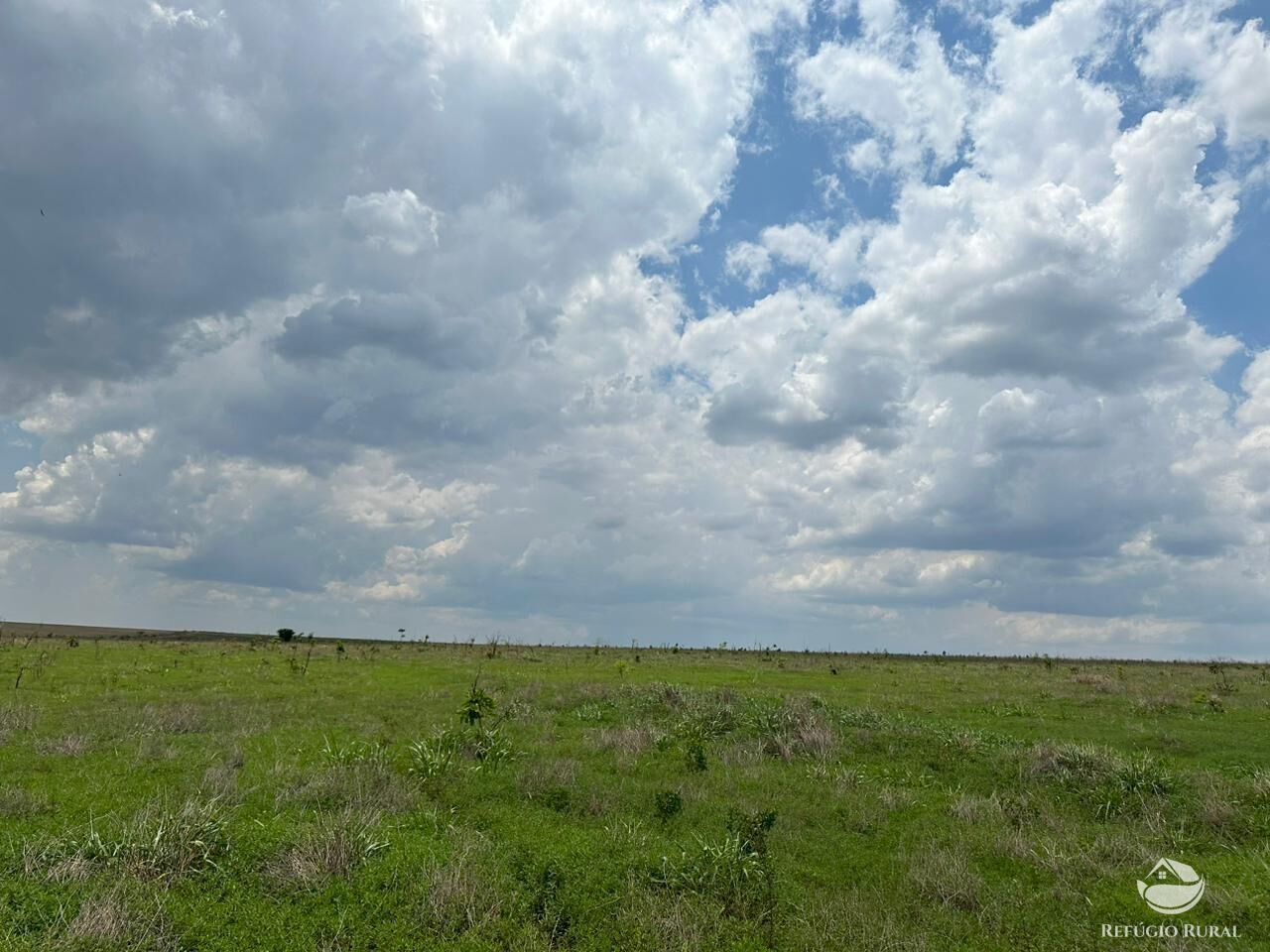 Fazenda à venda com 1 quarto, 6000000m² - Foto 5