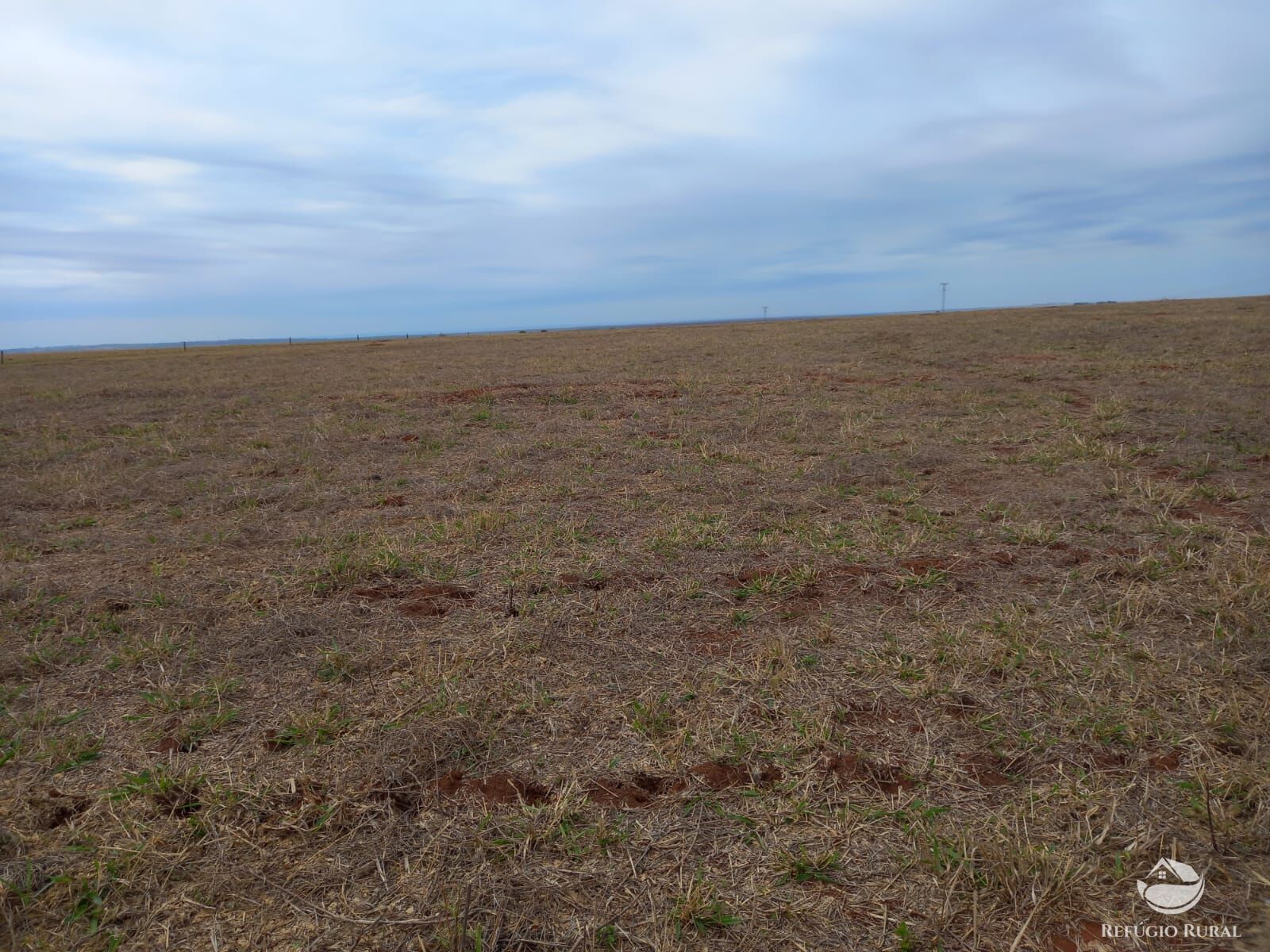 Fazenda à venda com 1 quarto, 6000000m² - Foto 4