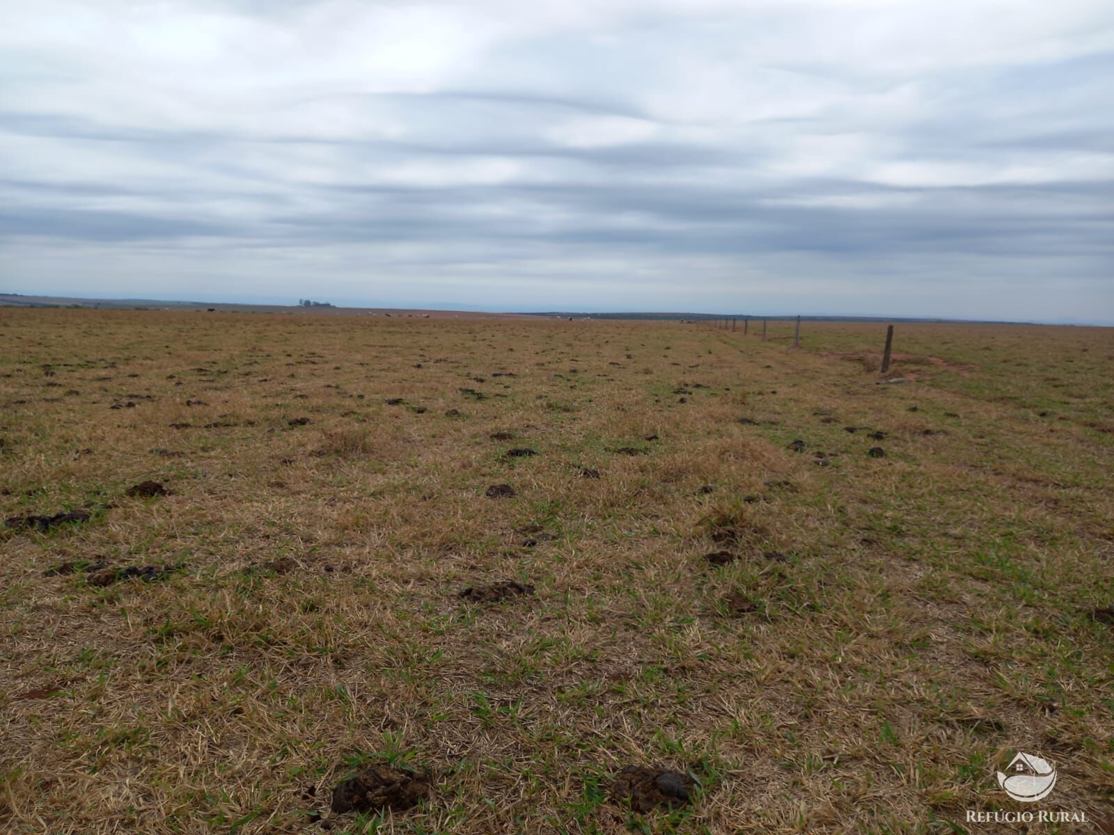 Fazenda à venda com 1 quarto, 6000000m² - Foto 7