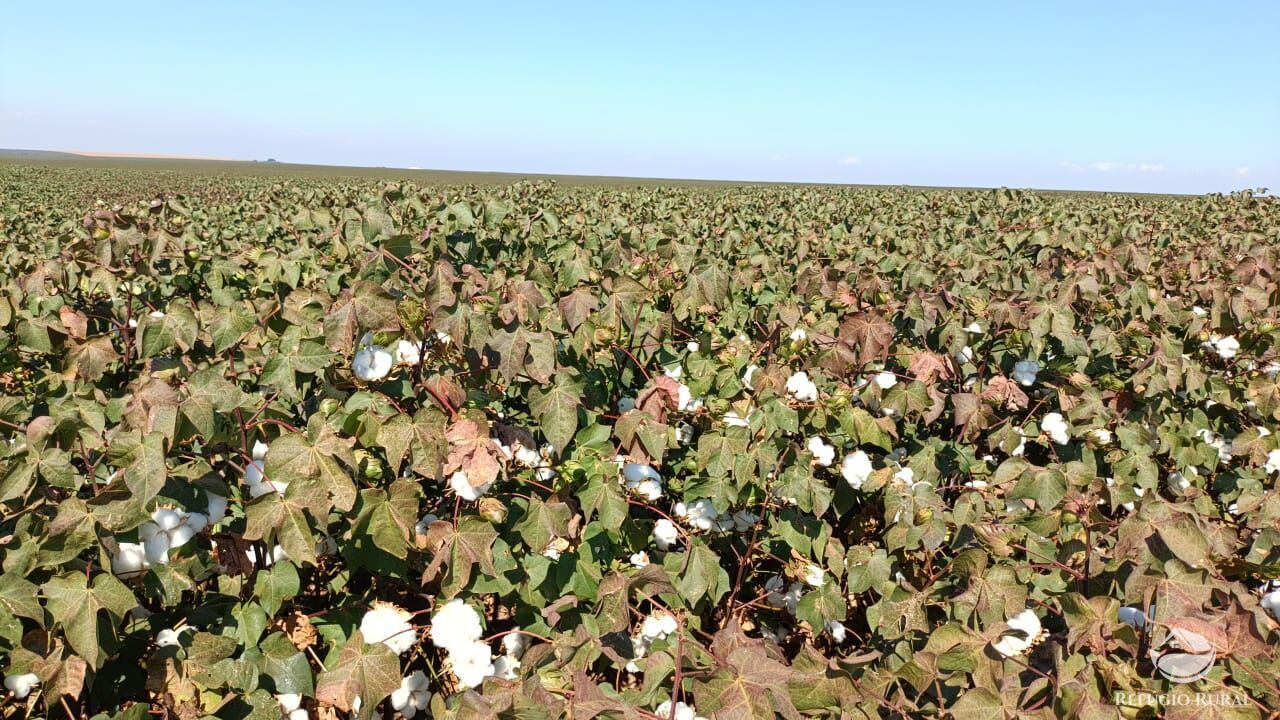 Fazenda à venda com 1 quarto, 6000000m² - Foto 2