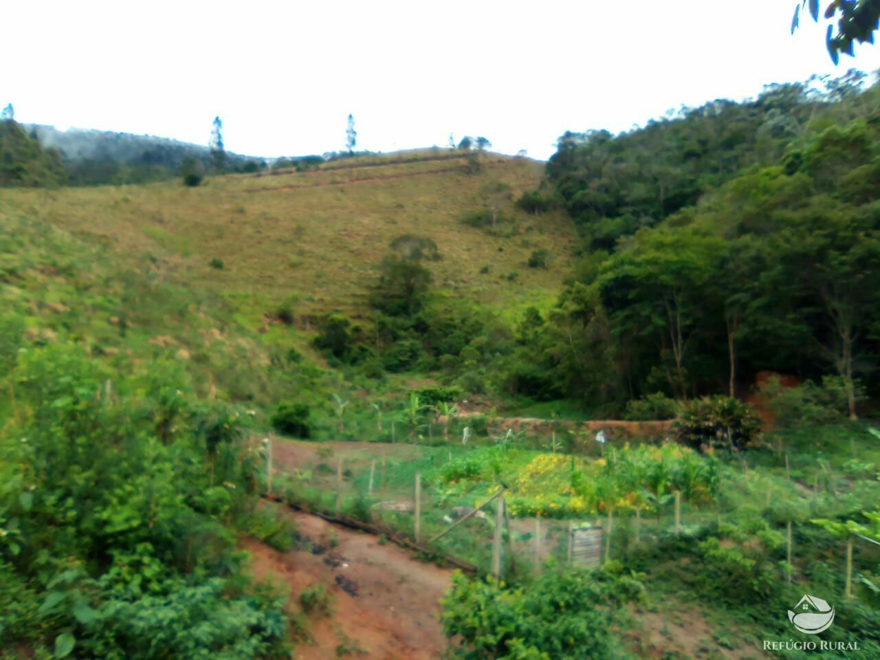 Fazenda à venda com 2 quartos, 253000m² - Foto 3