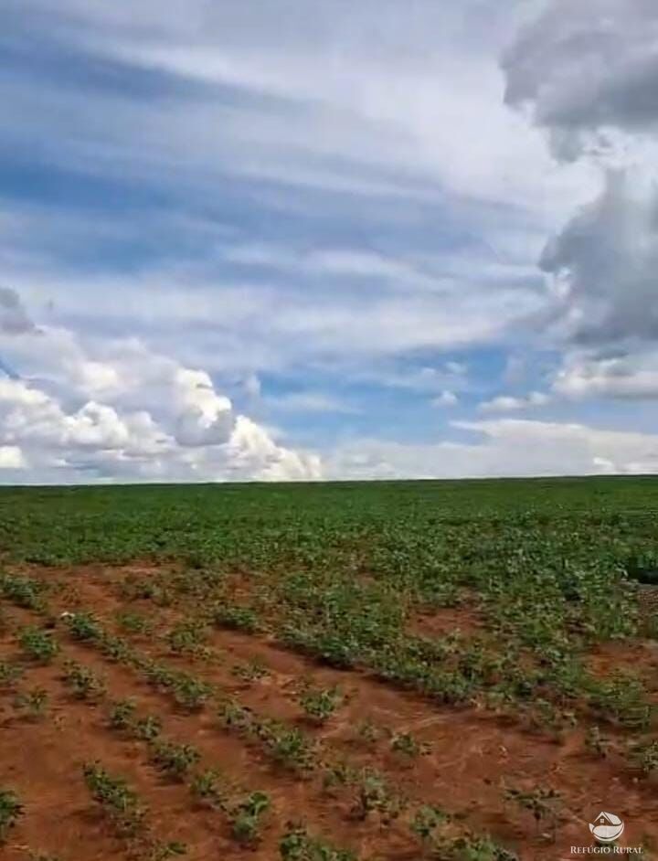 Fazenda à venda com 1 quarto, 871200m² - Foto 1