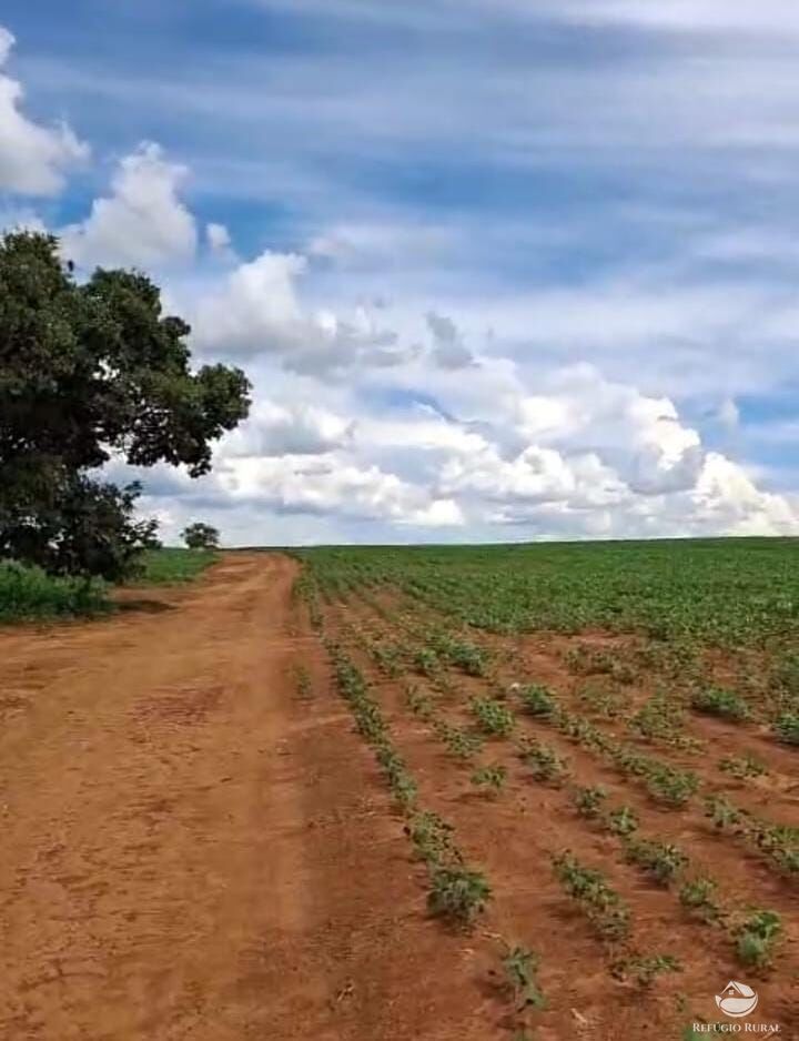 Fazenda à venda com 1 quarto, 871200m² - Foto 2