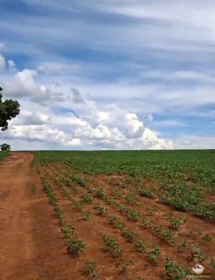 Fazenda à venda com 1 quarto, 871200m² - Foto 4