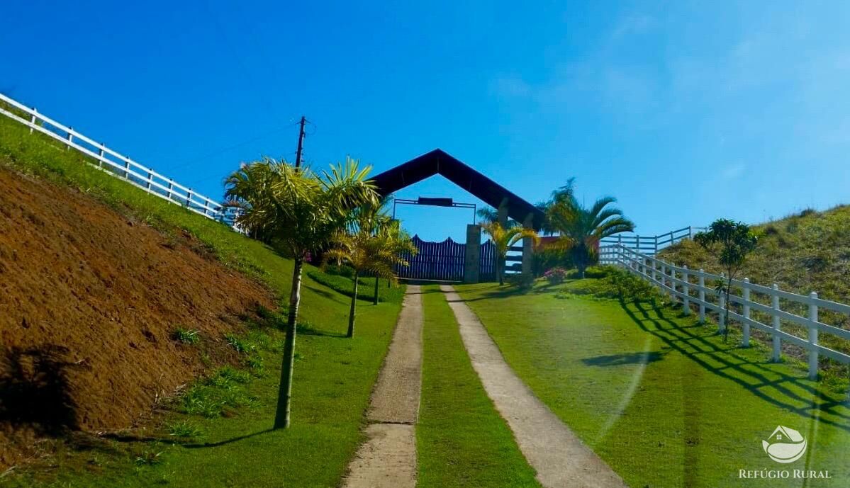 Sítio à venda com 3 quartos, 450000m² - Foto 7