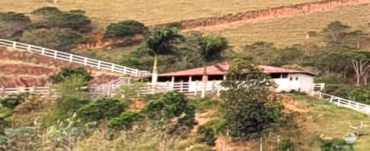 Sítio à venda com 3 quartos, 450000m² - Foto 40