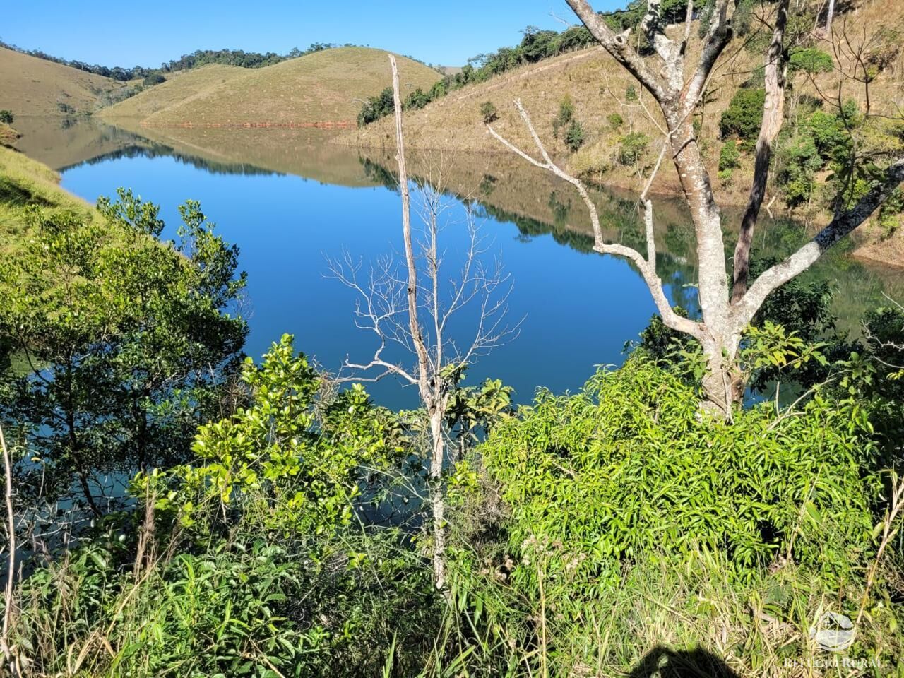 Sítio à venda com 3 quartos, 450000m² - Foto 4
