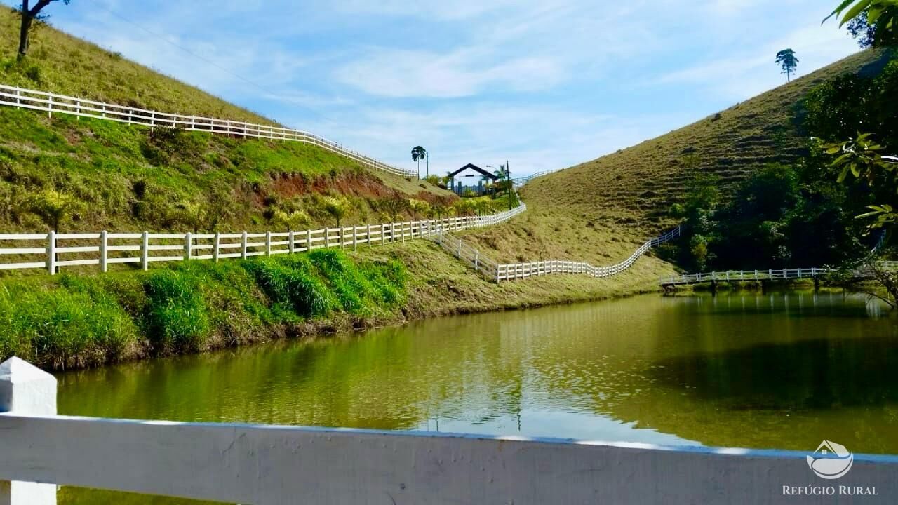 Sítio à venda com 3 quartos, 450000m² - Foto 11