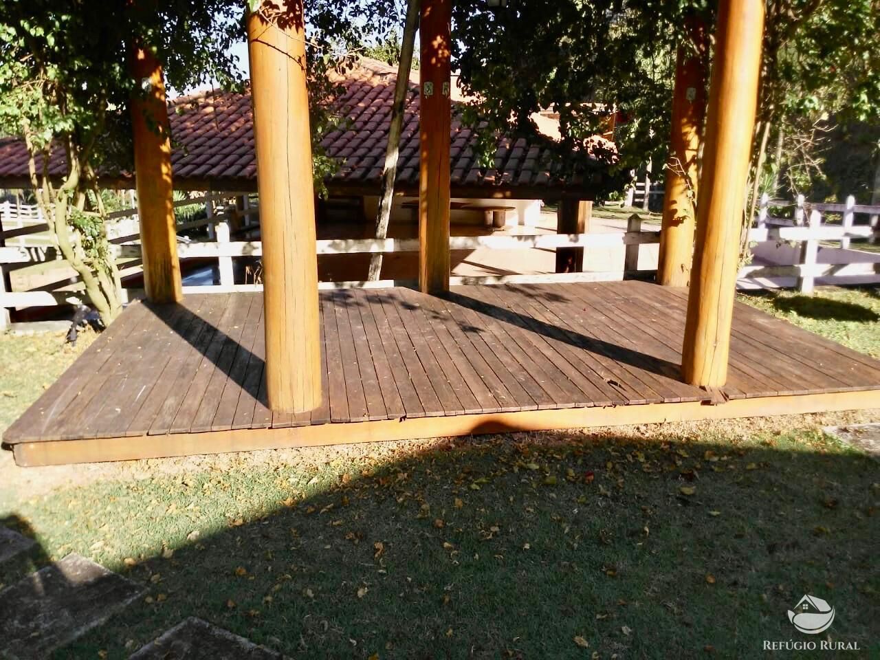 Sítio à venda com 3 quartos, 450000m² - Foto 26