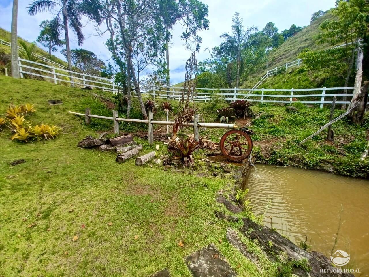 Sítio à venda com 3 quartos, 450000m² - Foto 10
