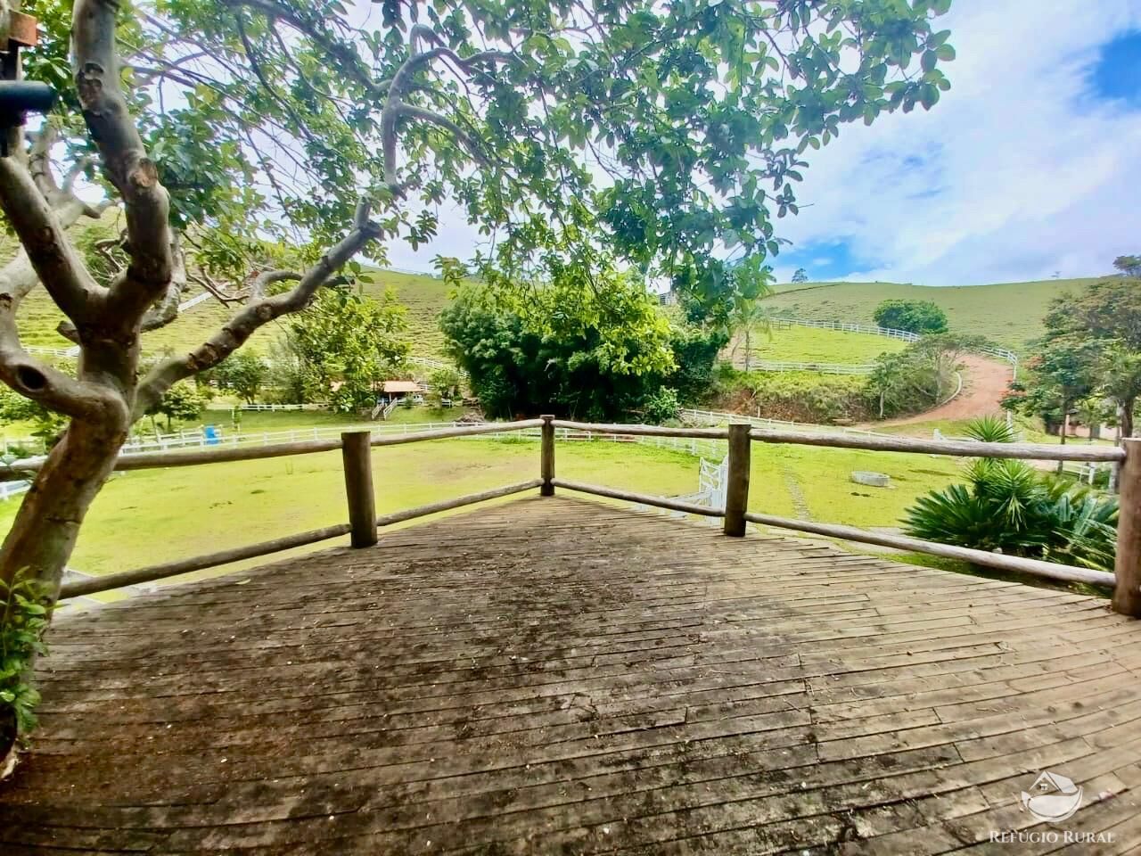 Sítio à venda com 3 quartos, 450000m² - Foto 36
